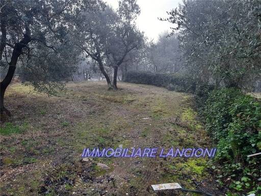 terreno agricolo in vendita a Scandicci