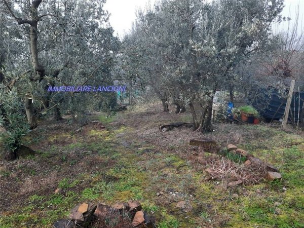 terreno agricolo in vendita a Scandicci in zona Mosciano