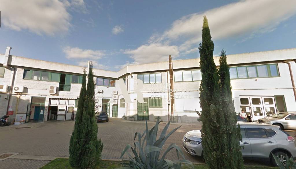 negozio in vendita a Scandicci