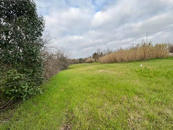 terreno agricolo in vendita a Scandicci in zona Badia a Settimo