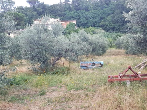 terreno agricolo in vendita a Scandicci in zona Mosciano
