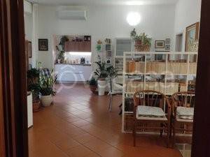 appartamento in vendita a Scandicci in zona Casellina