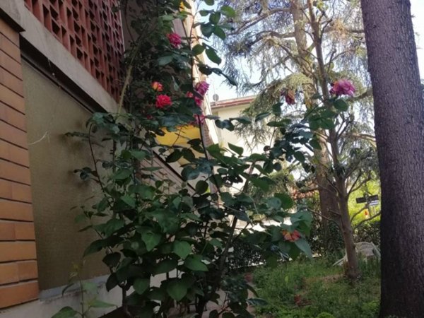 appartamento in vendita a Scandicci in zona San Giusto