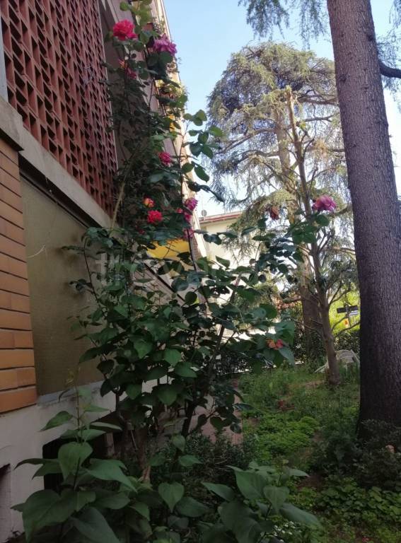 appartamento in vendita a Scandicci