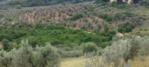 casa indipendente in vendita a Scandicci in zona Mosciano