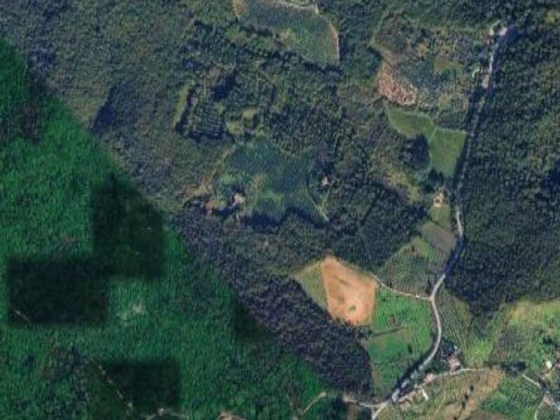 terreno agricolo in vendita a Scandicci