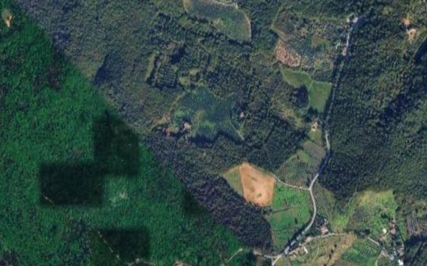 terreno agricolo in vendita a Scandicci