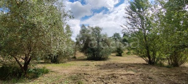 casa indipendente in vendita a Scandicci