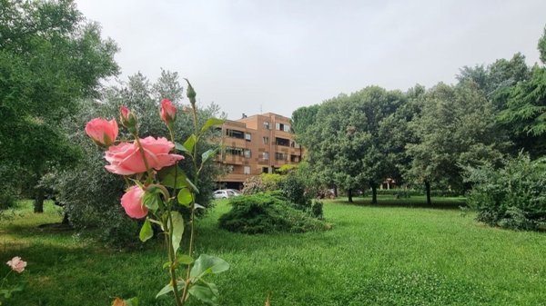 appartamento in vendita a Scandicci