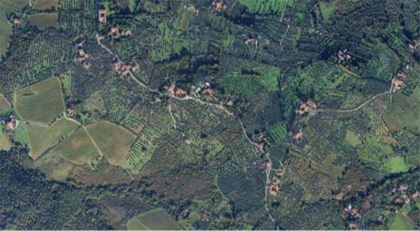 terreno agricolo in vendita a Scandicci