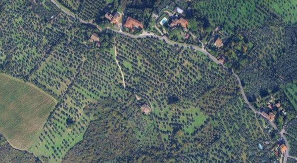 terreno agricolo in vendita a Scandicci