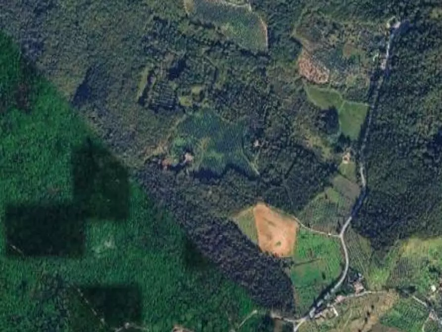 terreno agricolo in vendita a Scandicci