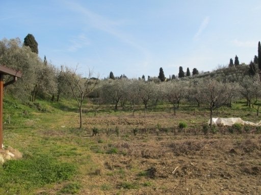 terreno agricolo in vendita a Scandicci in zona Scandicci Alto
