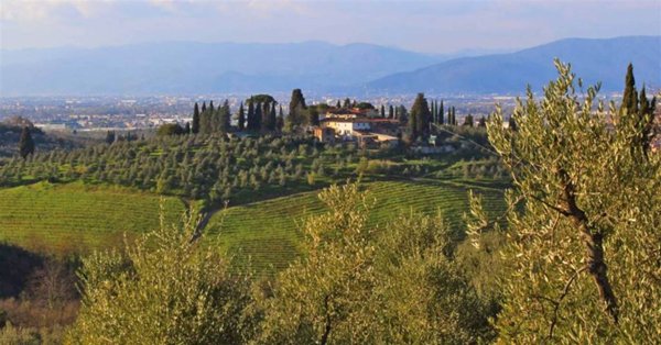 azienda agricola in vendita a Scandicci