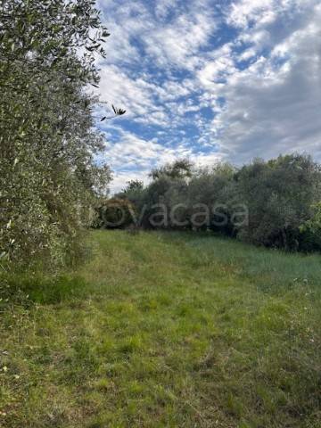 terreno agricolo in vendita a Scandicci