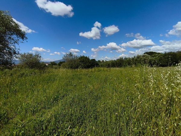 terreno agricolo in vendita a Scandicci