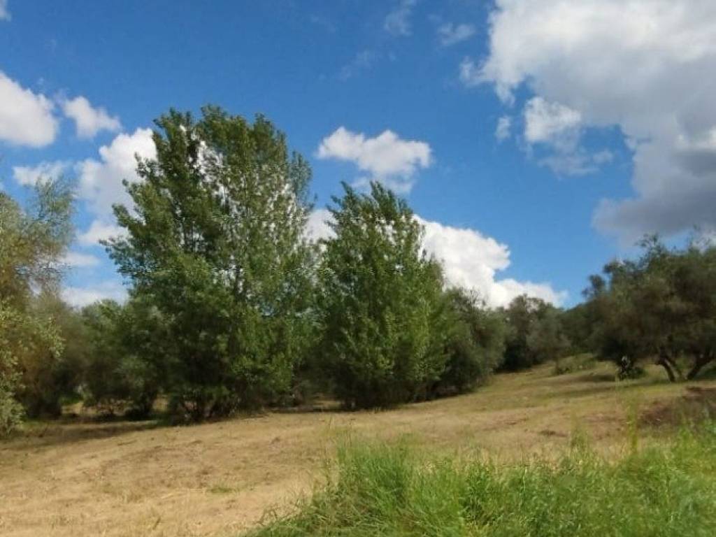 terreno agricolo in vendita a Scandicci in zona Mosciano