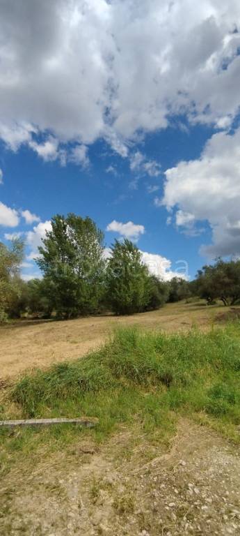 terreno agricolo in vendita a Scandicci in zona Mosciano