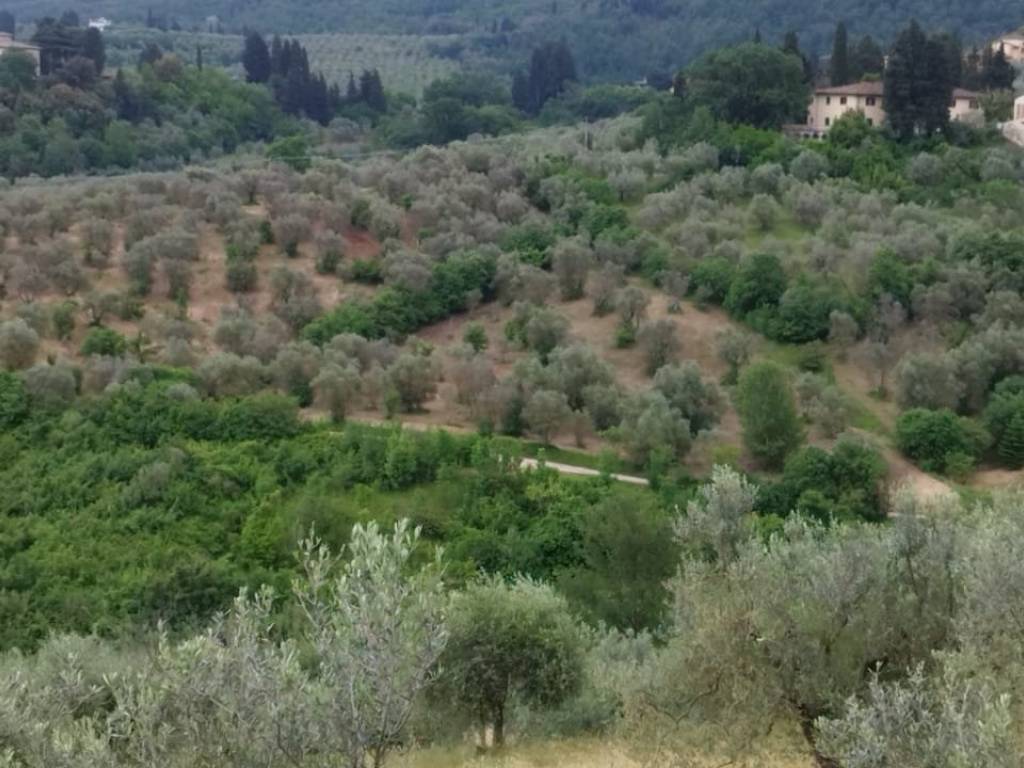 terreno agricolo in vendita a Scandicci in zona Mosciano