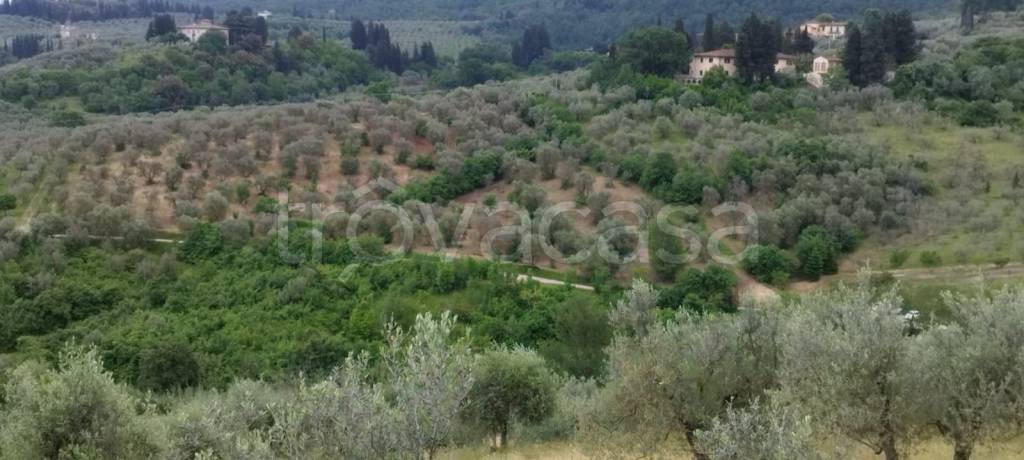 terreno agricolo in vendita a Scandicci
