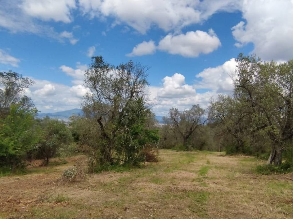 terreno agricolo in vendita a Scandicci in zona Mosciano