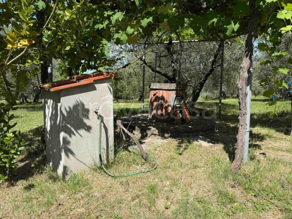 terreno agricolo in vendita a Scandicci
