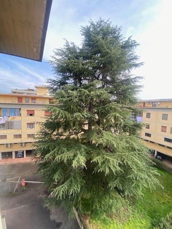 appartamento in vendita a Scandicci