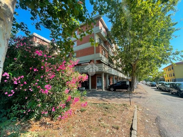 appartamento in vendita a Scandicci in zona Casellina