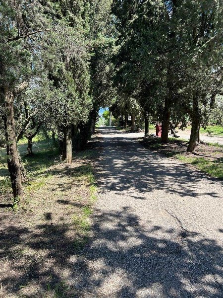 appartamento in vendita a Scandicci in zona Mosciano