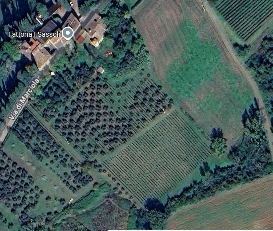 terreno agricolo in vendita a Scandicci in zona Santa Maria a Marciola
