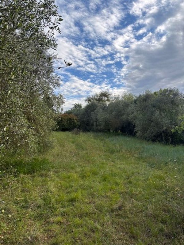 terreno in vendita a Scandicci in zona Rinaldi