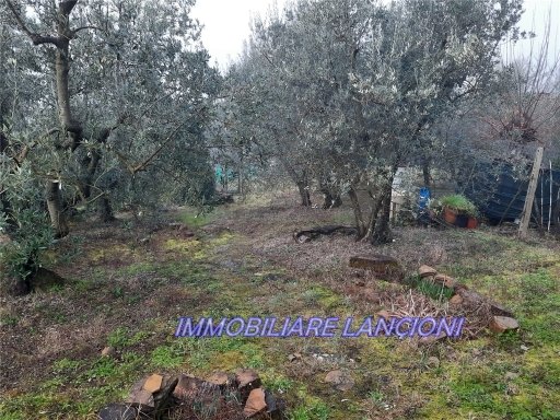 terreno in vendita a Scandicci
