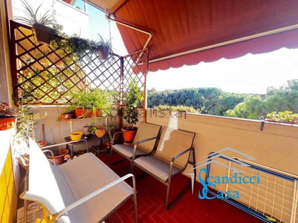 appartamento in vendita a Scandicci in zona Casellina