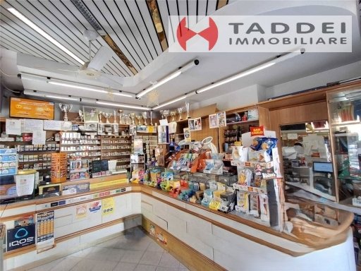 esercizio commerciale in vendita a Scandicci in zona San Giusto