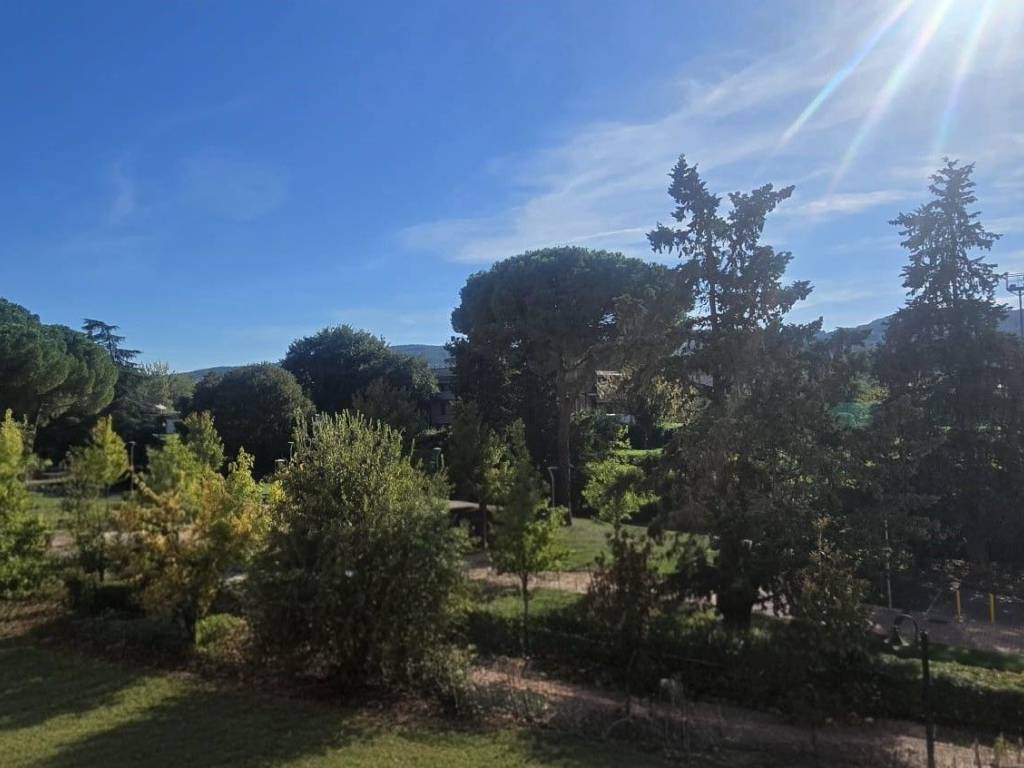 appartamento in vendita a Scandicci in zona Casellina
