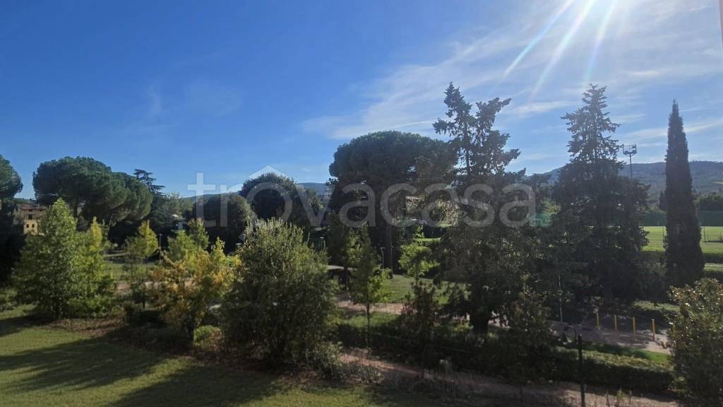 appartamento in vendita a Scandicci in zona Casellina