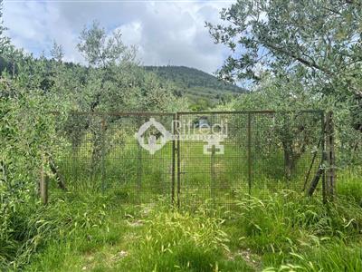 terreno agricolo in vendita a Sesto Fiorentino