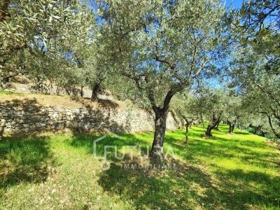 terreno agricolo in vendita a Sesto Fiorentino in zona Colonnata