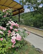 negozio in vendita a Sesto Fiorentino in zona Colonnata