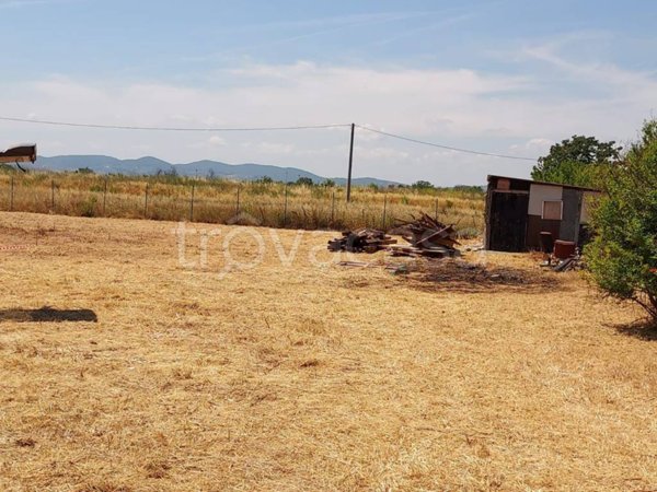 terreno agricolo in vendita a Sesto Fiorentino