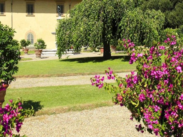 negozio in vendita a Sesto Fiorentino