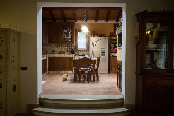 esavano in vendita a Sesto Fiorentino