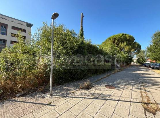 terreno agricolo in vendita a Sesto Fiorentino in zona Zambra
