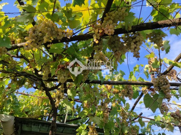 terreno agricolo in vendita a Sesto Fiorentino