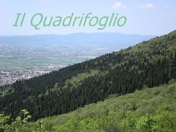 ufficio in vendita a Sesto Fiorentino