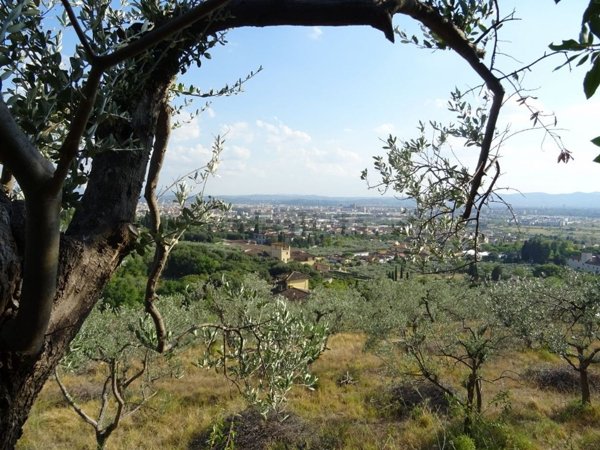 terreno agricolo in vendita a Sesto Fiorentino in zona Quinto