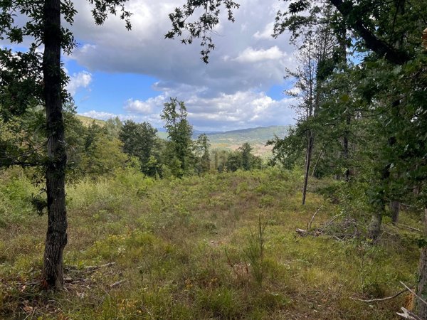 terreno agricolo in vendita a Sesto Fiorentino