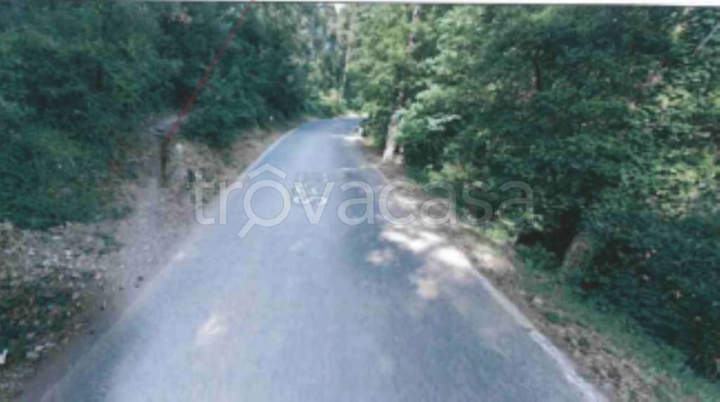 terreno agricolo in vendita a Sesto Fiorentino