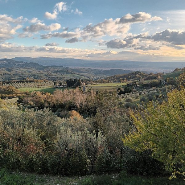 quadrivano in vendita a Sesto Fiorentino in zona Cercina