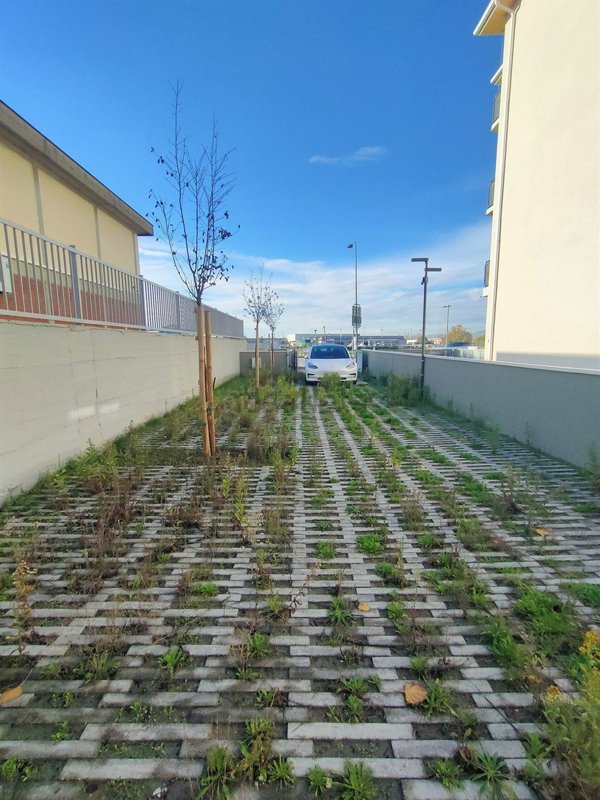 negozio in vendita a Sesto Fiorentino in zona Zambra